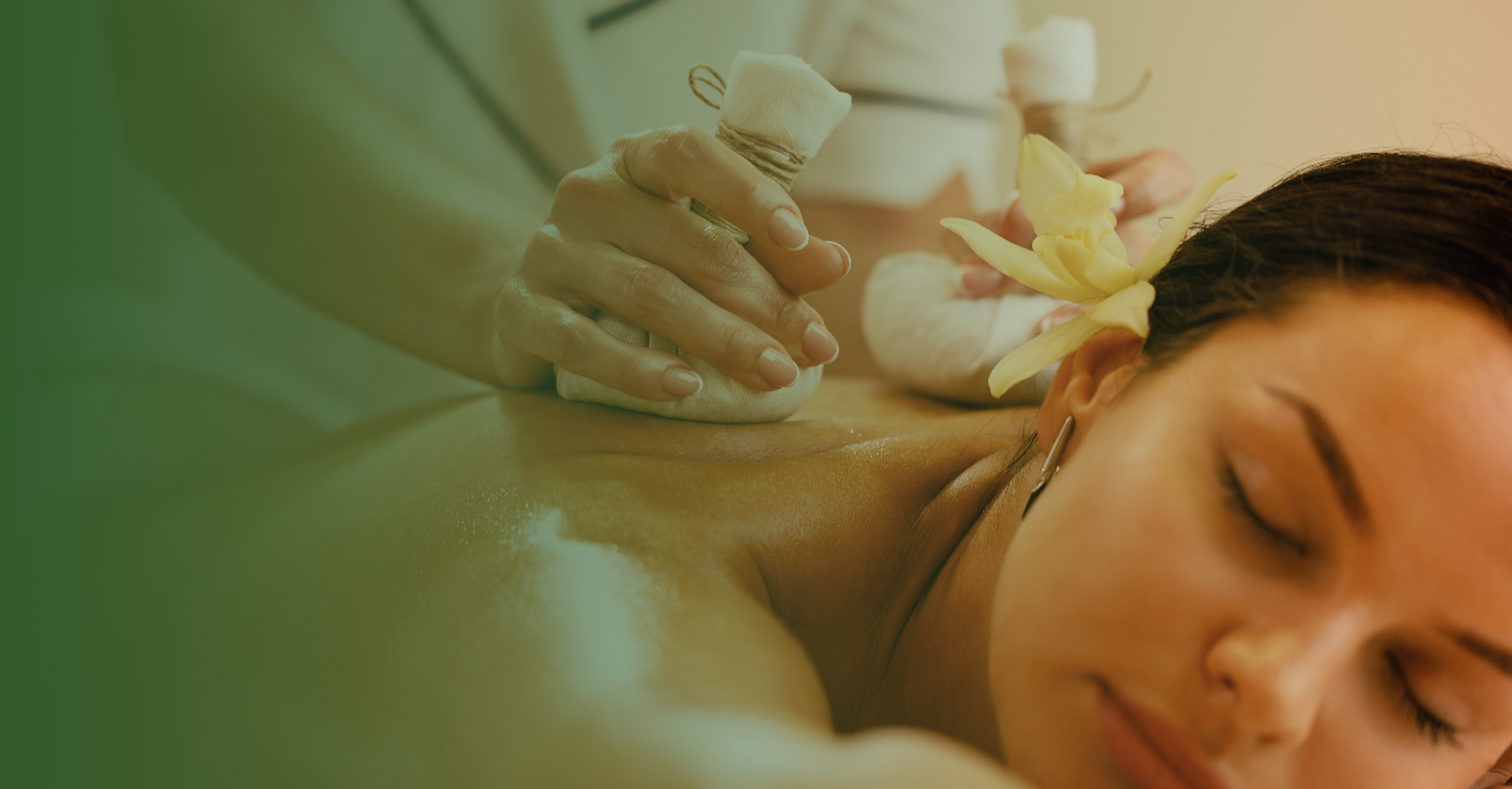 Ayurvedic wellness therapy
