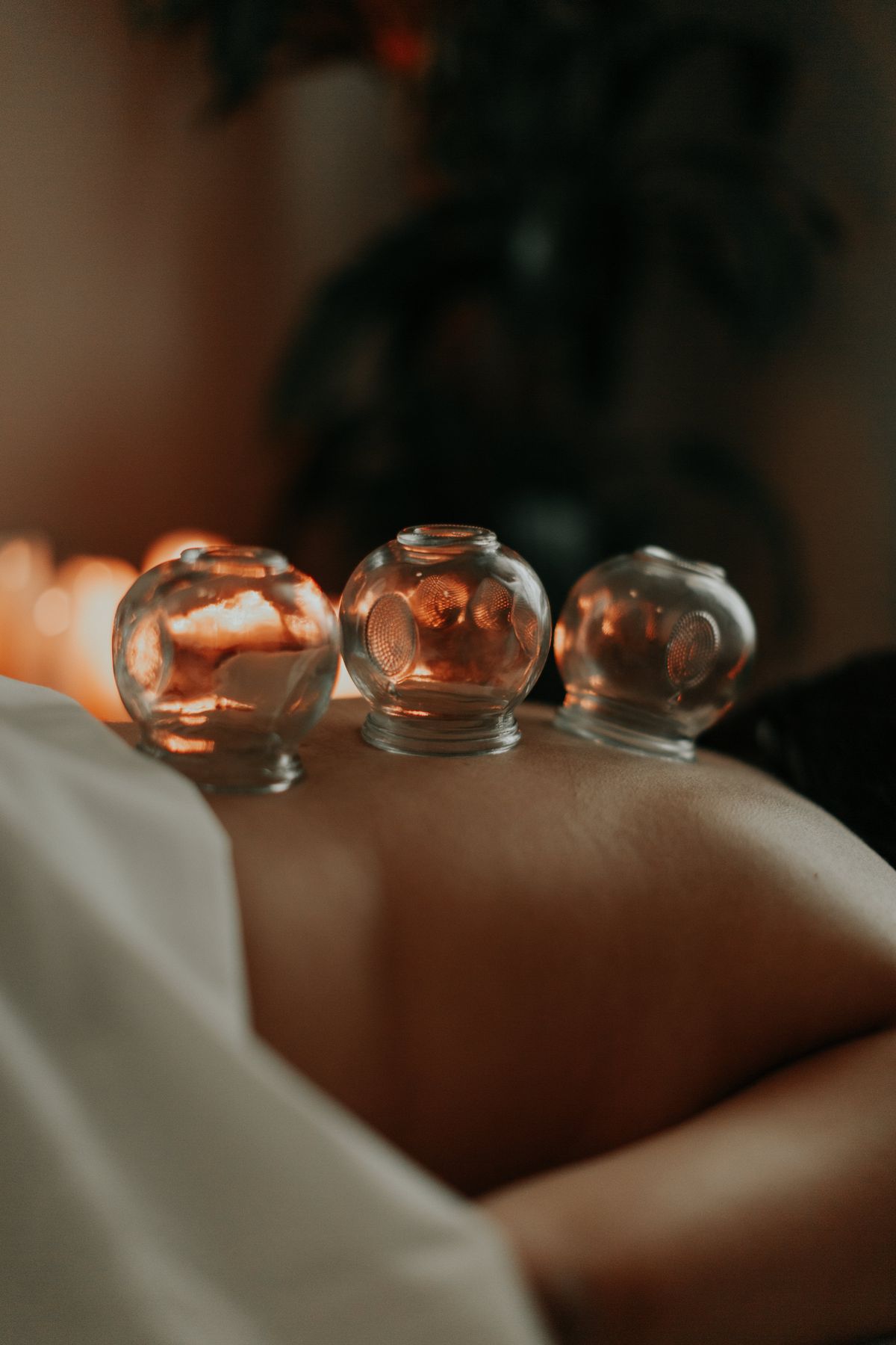 Ayurvedic wellness therapy